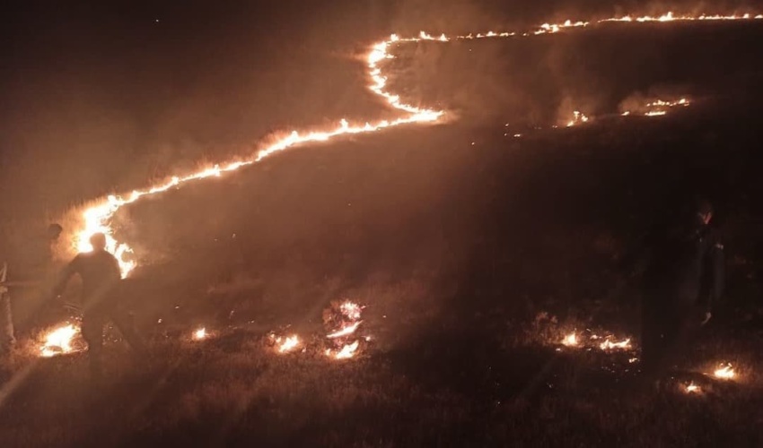 مهار آتش در اراضی روستای چقاسیاه 