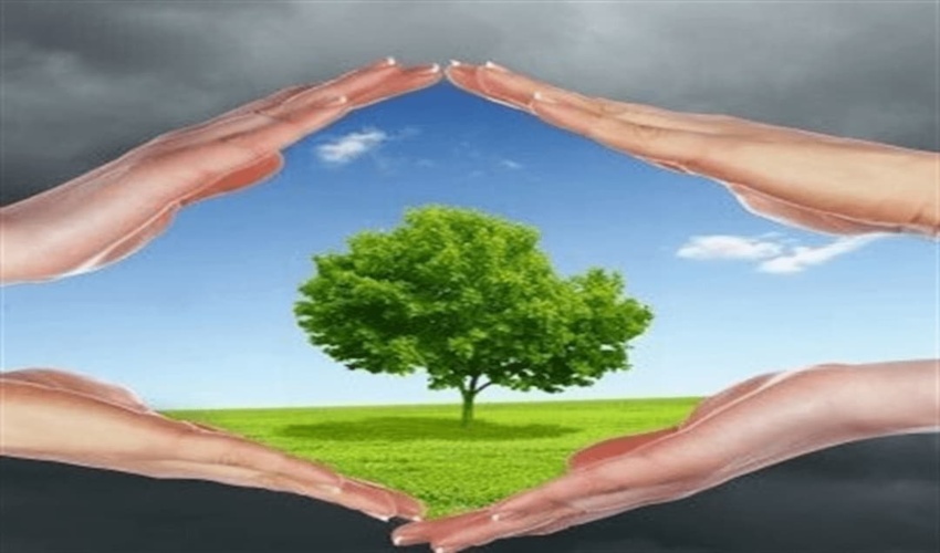 برگزاری پویش نهال مهر ویژه دانش آموزان محلاتی