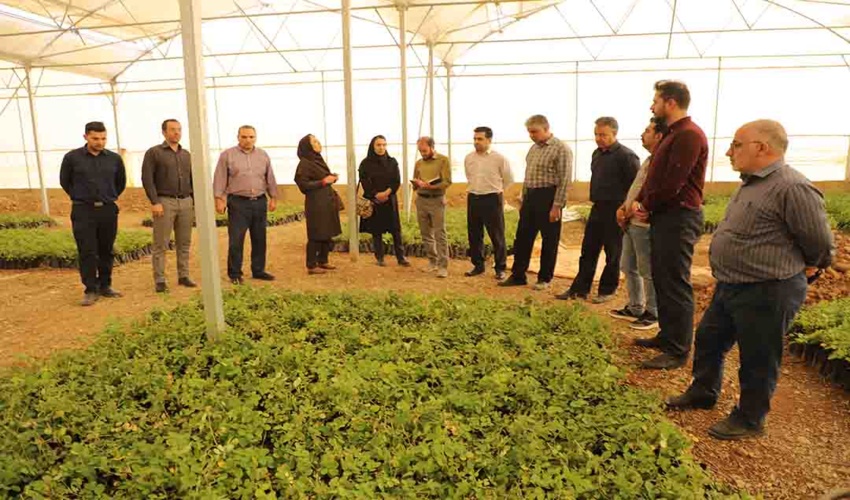 بازدید مدیر کل دفتر بیابان سازمان منابع طبیعی و آبخیزداری کشور از گلخانه و پروژه نهال کاری محلات