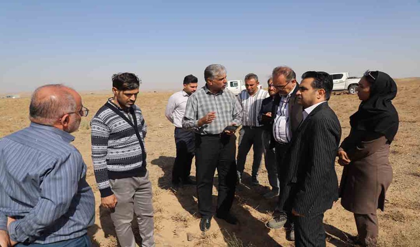 بازدید مدیر کل دفتر بیابان سازمان منابع طبیعی و آبخیزداری کشور از پروژه نهال کاری بیابانی زرندیه 