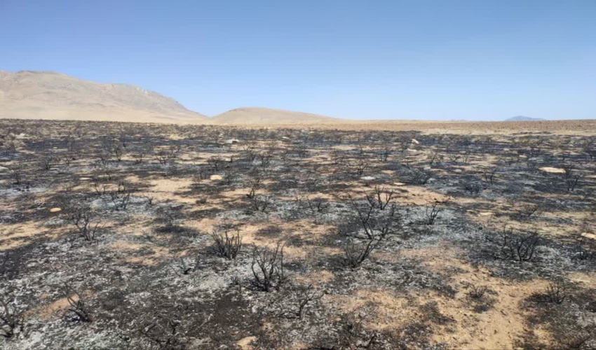 چهار هکتار از اراضی شهرستان خمین طعمه حریق شد