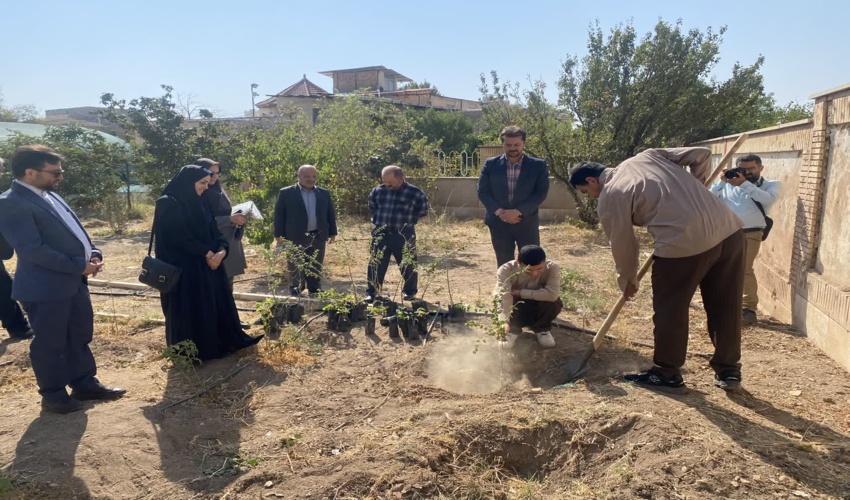 برگزاری پویش نهال کاری روشن‌دلان در محلات