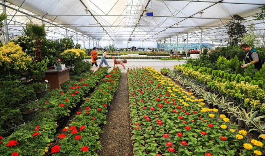 جذب ۱۰۰ میلیارد ریال اعتبار برای زیرساخت‌های شهرک گل و گیاه خمین