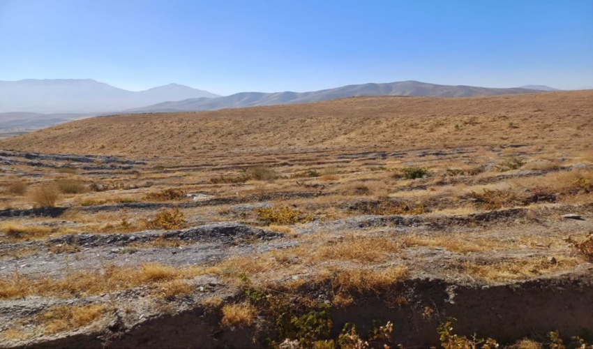 ارزیابی طرح کشت گیاهان دارویی روستای خورزن خمین