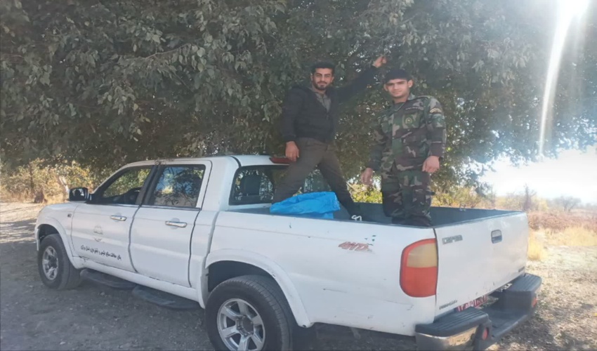 جمع آوری بذور جنگلی برای تولید نهال در نهالستان شهید رجایی اراک 