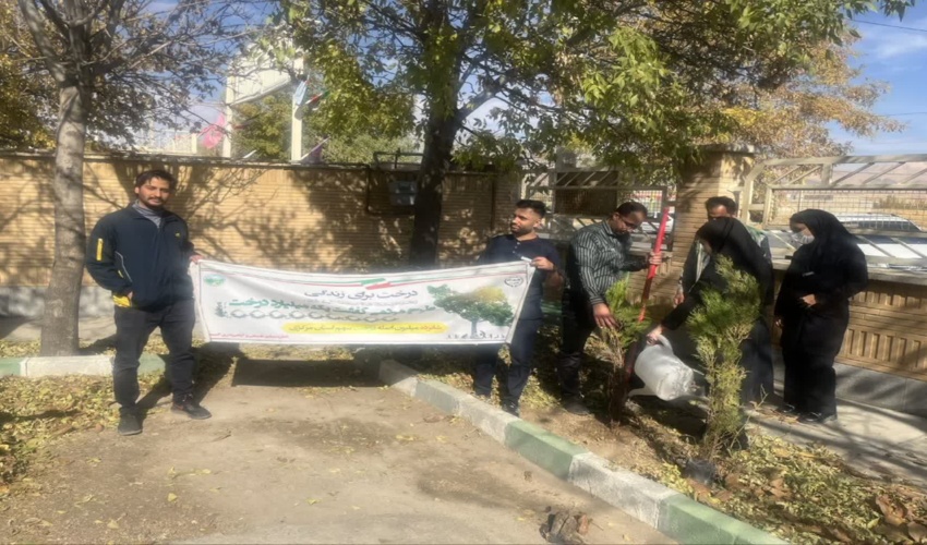 غرس نهال توسط کادر درمان بیمارستان کمیجان