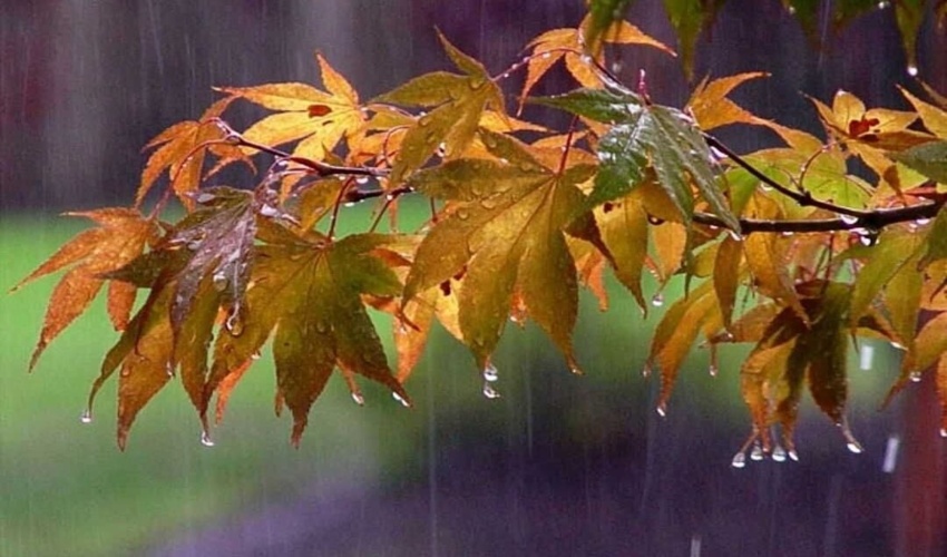 بارش‌های استان مرکزی نسبت به دوره بلندمدت ۶۱.۵ درصد کاهش یافت