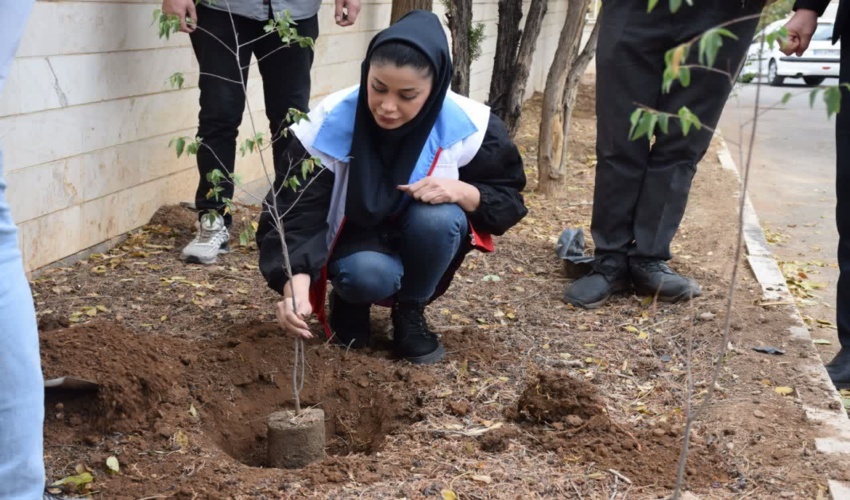 برگزاری پویش درختکاری یار مهربان در محلات