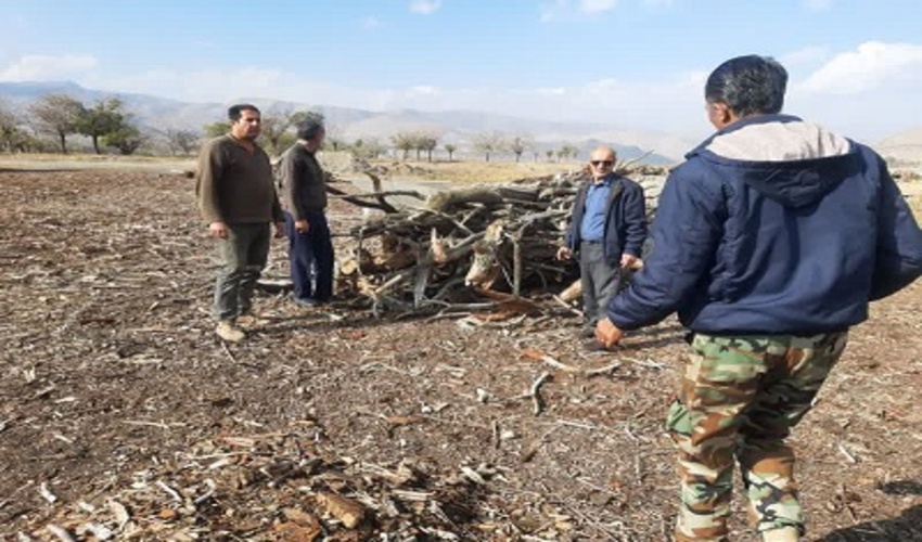 بازدید محل خرید و فروش و جمع‌آوری چوب‌آلات در تفرش 