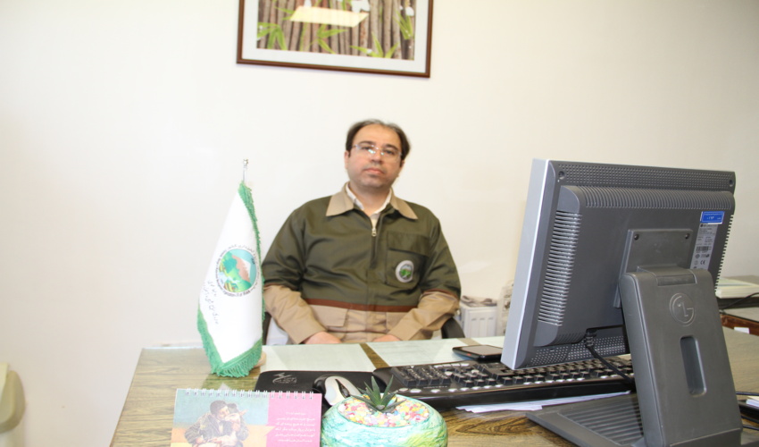 طرح کاشت اکالیپتوس؛ راهکاری موثر برای مقابله با ریزگردها