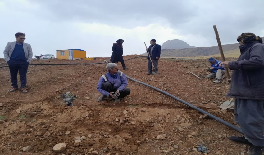 کاشت یک هکتار النگاتوم در روستای گوشه علیا خنداب