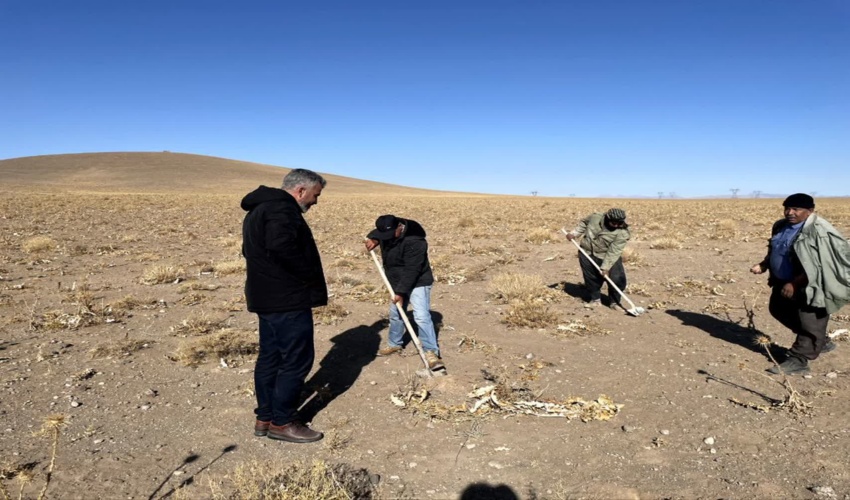 آغاز عملیات کپه کاری در طرح مرتعداری روستای ابراهیم آباد اراک