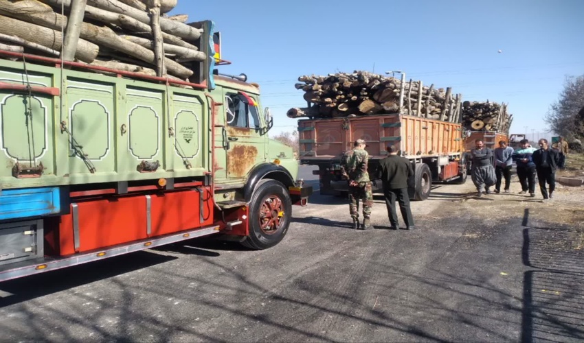 بازرسی محموله‌های چوبی و جنگلی در پلیس راه توره و کارچان