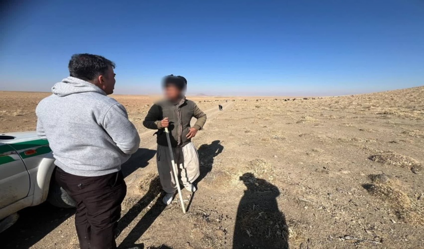 اخراج ۲۰۰ راس دام غیر مجاز از مراتع روستای گل زرد خمین