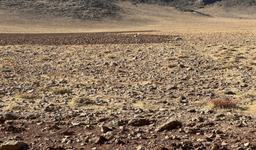 گشت و مراقبت از اراضی ملی در شهرستان خمین