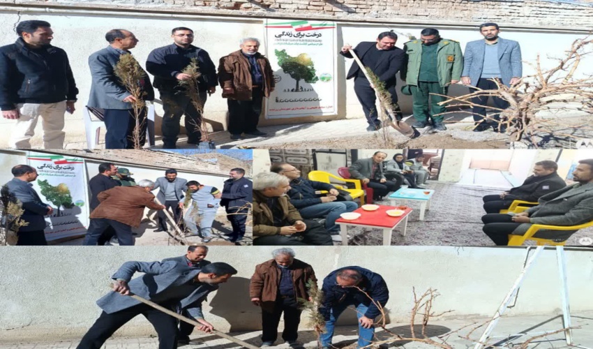 برگزاری پویش نهال کاری در زرندیه