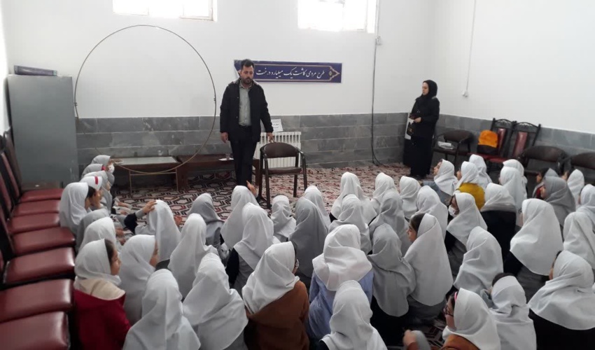 برگزاری دوره آموزشی کاشت بذر سرو خمره‌ای در یکی از مدارس کمیجان