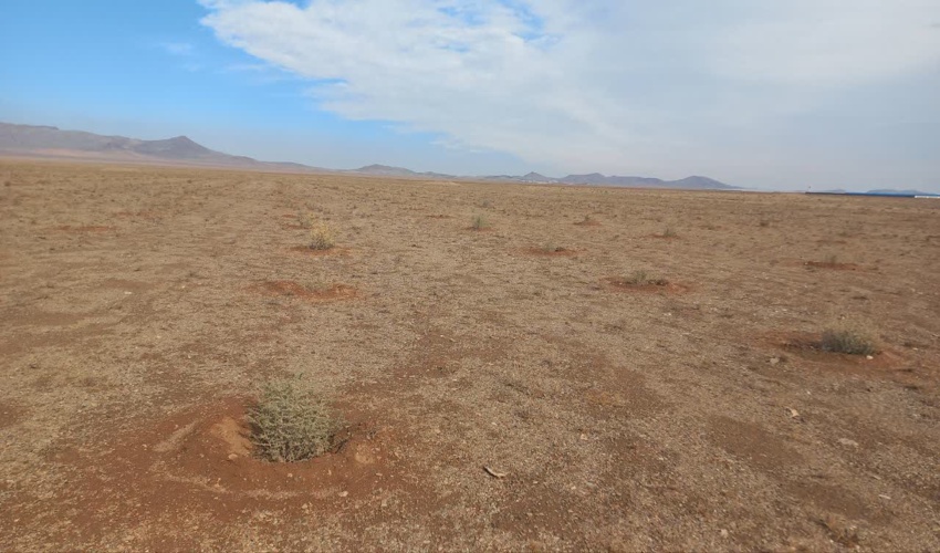 بازدید معاون فنی اداره کل منابع طبیعی از پروژه بیابان‌زدایی زرندیه 