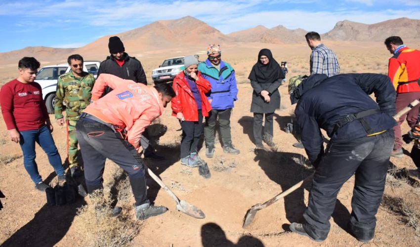 برگزاری پویش نهالکاری "در سایه مادر" در محلات
