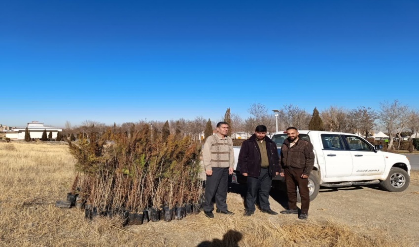 انتقال نهال‌های گلدانی جهت کاشت به شهرستان‌های استان مرکزی