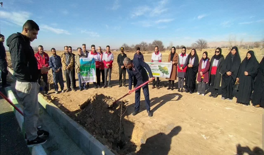 پویش درختکاری "در سایه مادر" در کمیجان