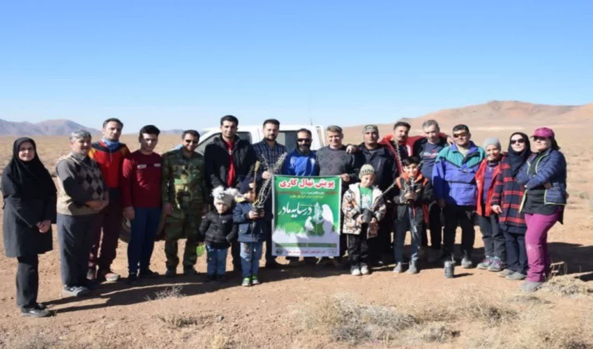 احیای ۶۶ هکتار از اراضی ملی محلات