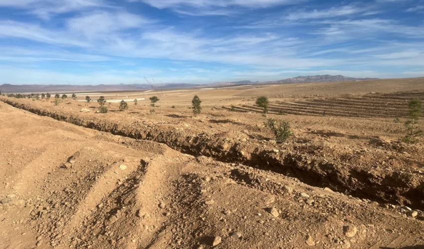 کاشت 5 هزار اصله نهال در یکی از شرکت‌های صنعتی خمین