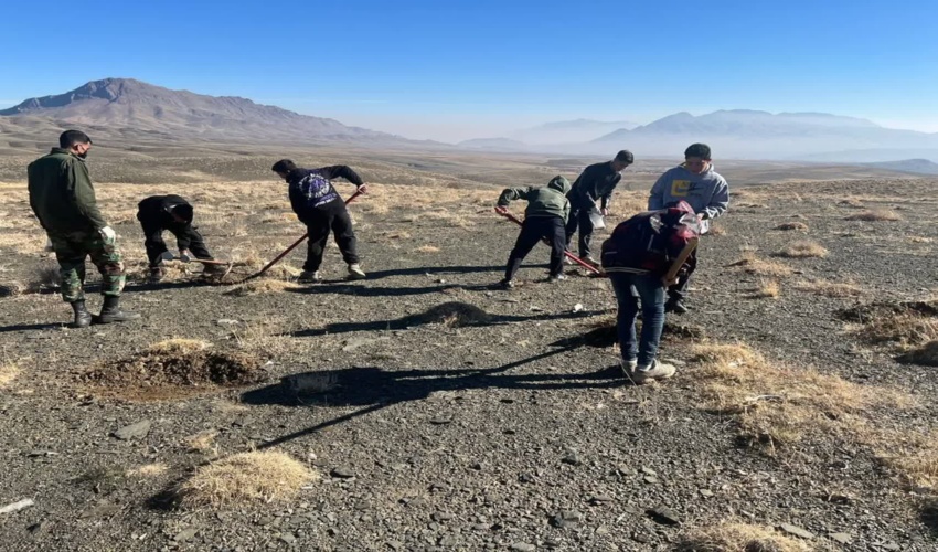 برگزاری پویش بذرکاری در روستای برگله خمین