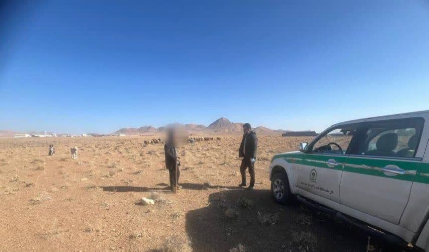 اخراج ۱۵۰ راس دام غیر مجاز از مراتع خمین
