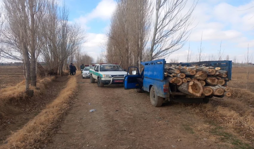 توقیف محموله چوپ در روستای کزاز شازند 