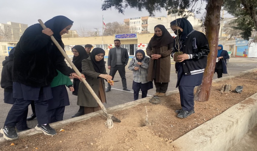 برگزاری پویش کاشت نهال در یکی از مدارس محلات
