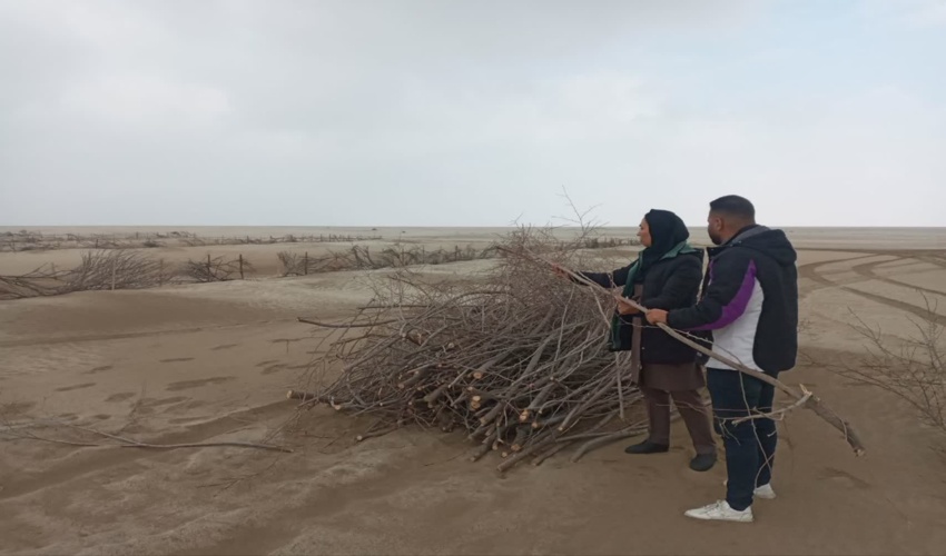 بررسی و ارزیابی پروژه بادشکن غیرزنده کویر میقان