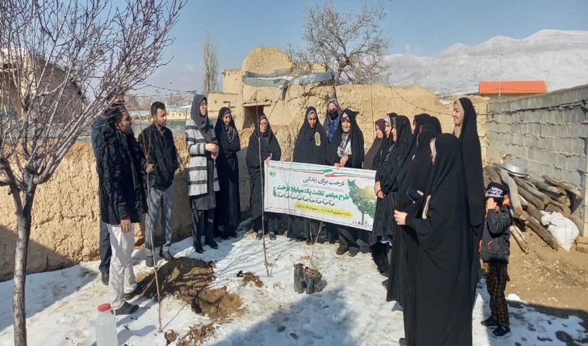 برگزاری پویش درختکاری در سمقاور کمیجان