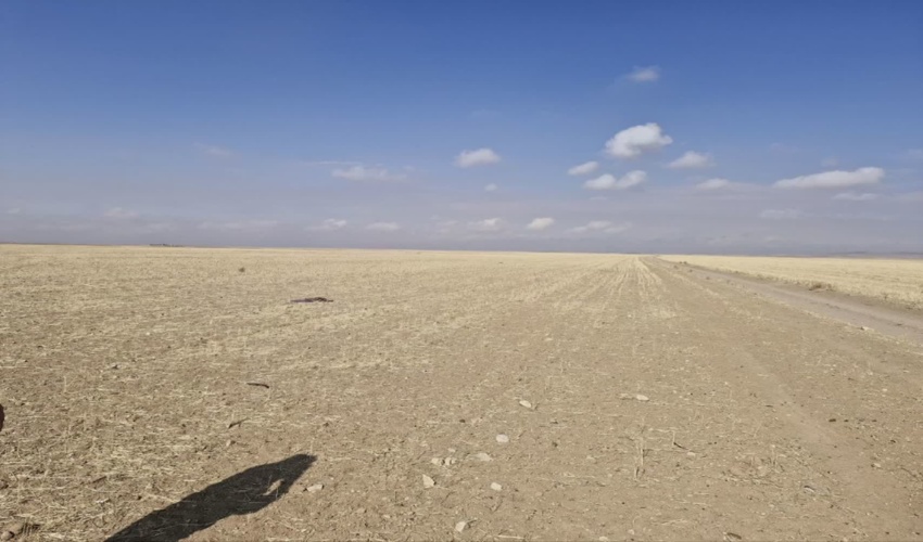 گشت و مراقبت از اراضی ملی در اراک