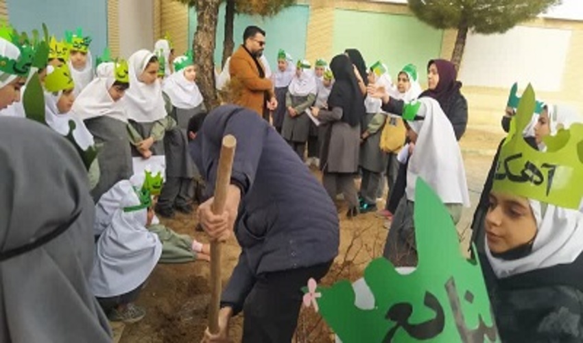 برگزاری پویش کاشت نهال در یکی از مدارس خمین