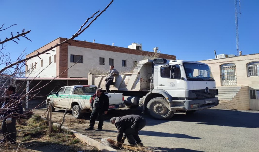 انتقال نهال به نهالستان موقت خمین جهت توزیع بین متقاضیان