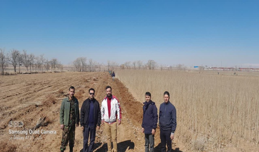 بازدید از روند توزیع نهال در نهالستان فدک و شهید رجایی