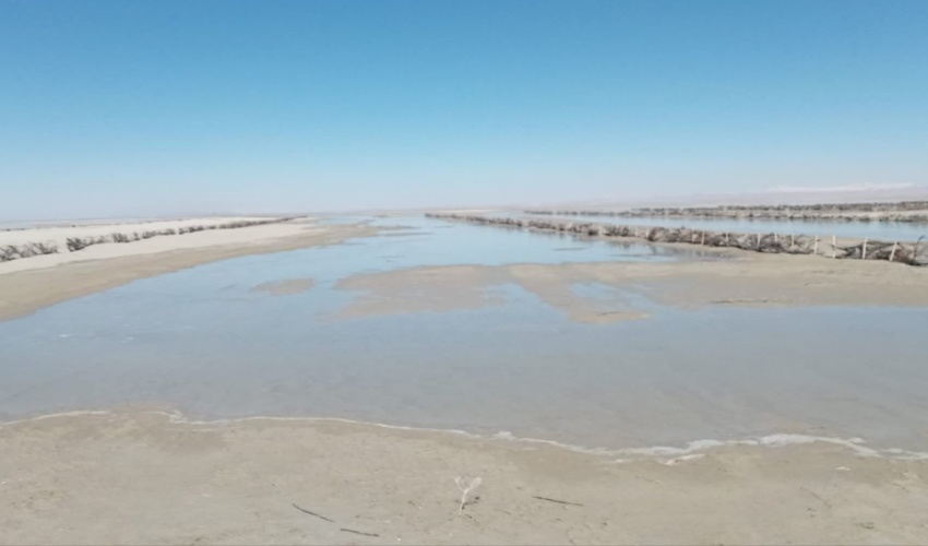 بررسی وضعیت آبگیری تالاب میقان اراک