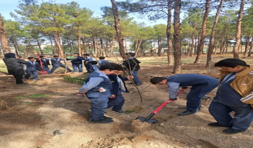 استقبال از بهار با درختکاری در ساوه