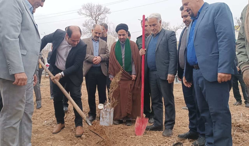 پنج هزار اصله نهال در خمین کاشته شد