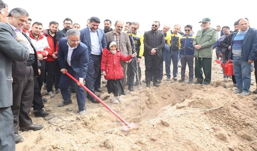 ۱۱۰ هکتار نهال‌کاری طی هفته درختکاری در استان مرکزی