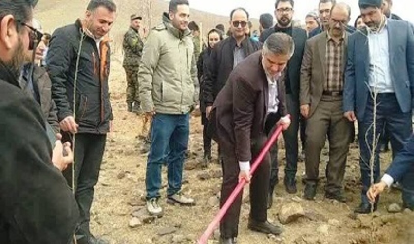  ۶ هزار اصله نهال در شهر جدید امیرکبیر کاشته شد