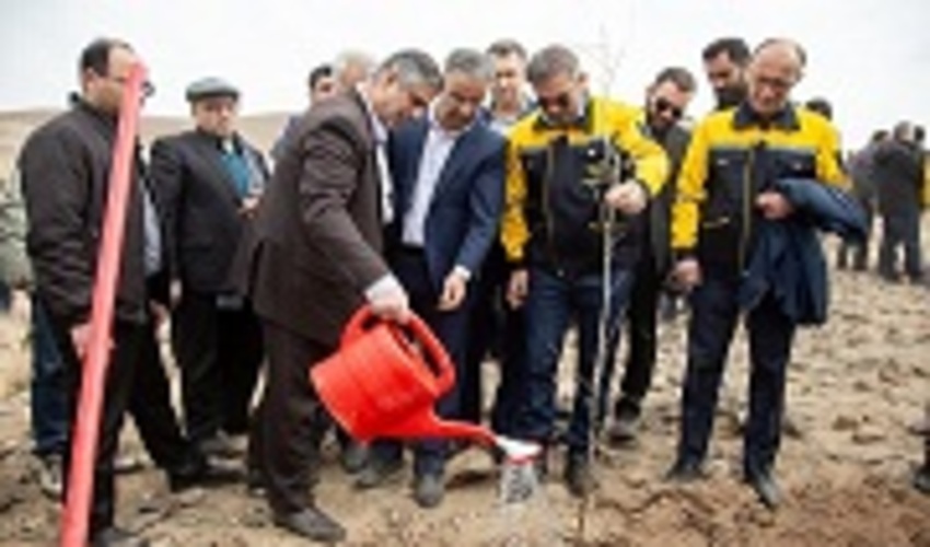 توسعه فضای سبز راهکاری برای مقابله با آلودگی هوا است