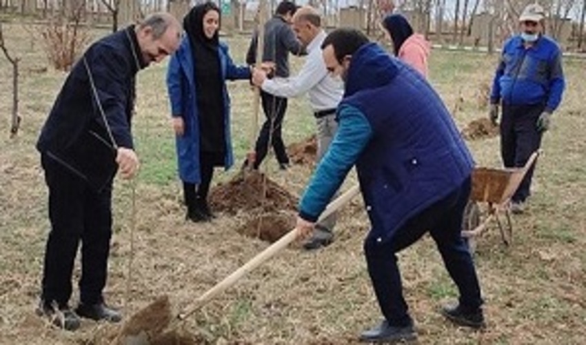 مردم و بخش خصوصی در توسعه فرهنگ درختکاری بکوشند