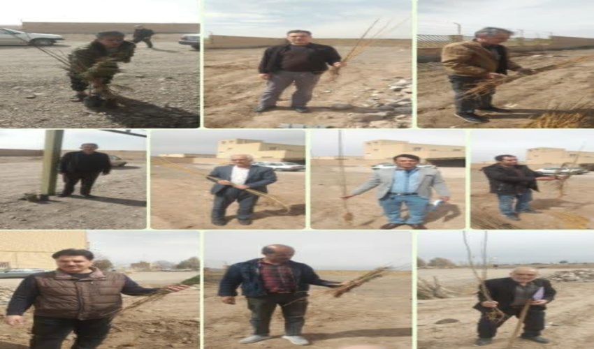 توزیع نهال رایگان در اداره منابع طبیعی و آبخیزداری شهرستان زرندیه