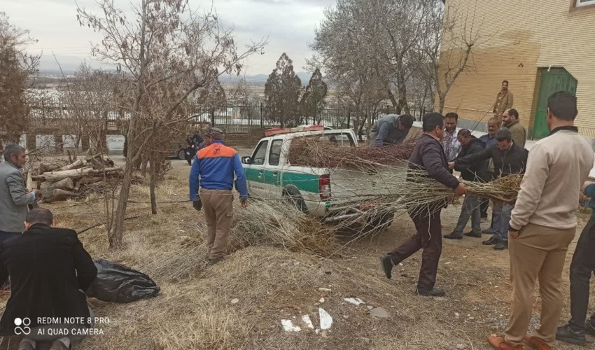 توزیع مردمی نهال رایگان در محل اداره منابع طبیعی شهرستان شازند