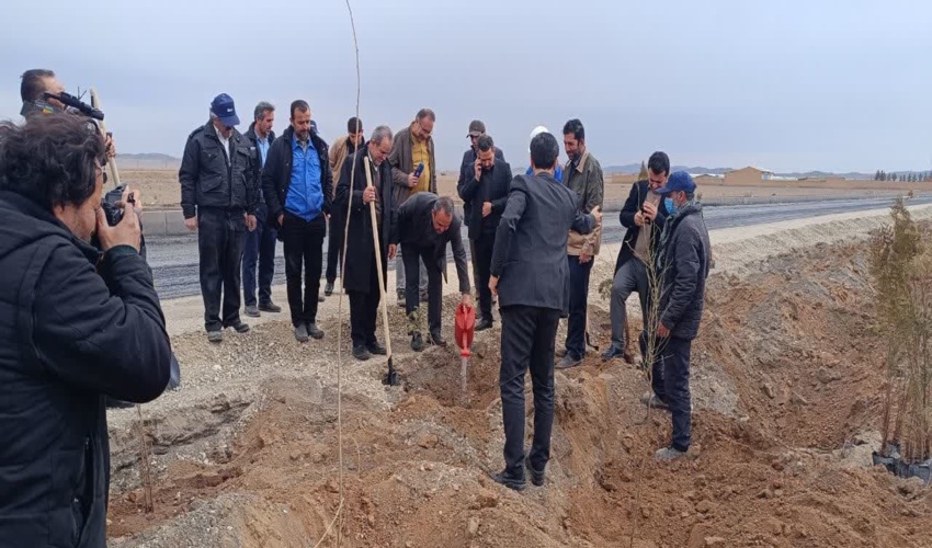 برگزاری پویش سراسری درختکاری جان ایران در زرندیه