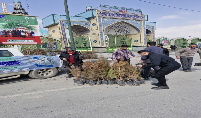 توزیع نهال رایگان در مصلی بیت المقدس اراک