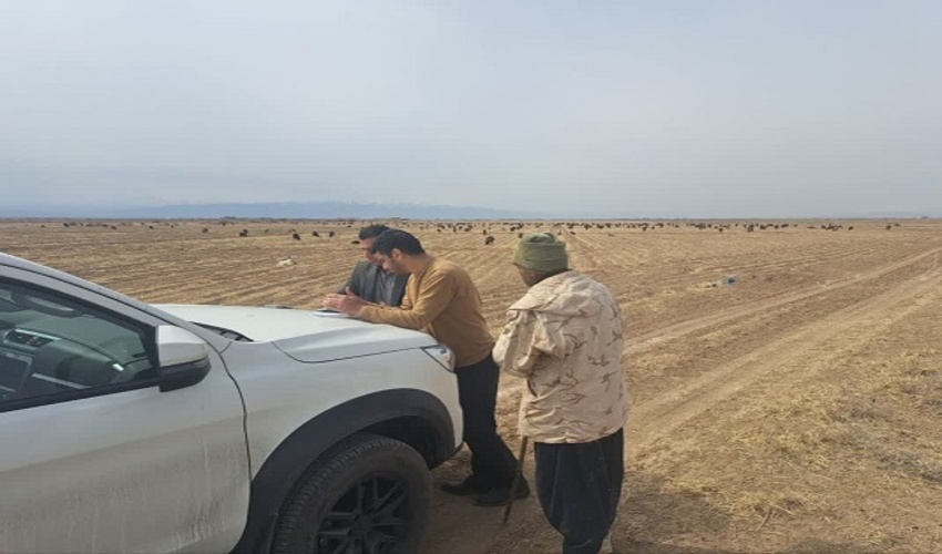 حضور هیئت ممیزی در مراتع مجید آباد و سینک شهرستان ساوه