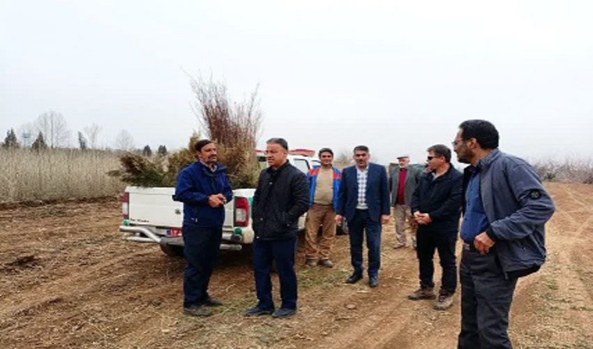 بازدید مدیر کل منابع طبیعی از روند توزیع نهال در نهالستان شهید رجایی